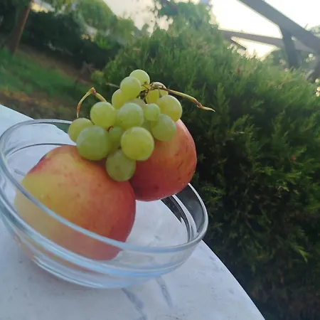Evridiki 3*