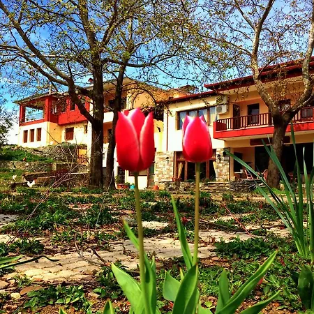 Guest house Evridiki 3*