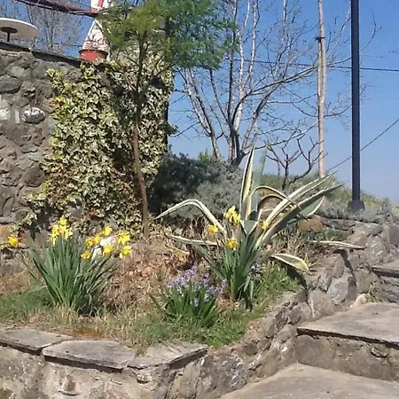 Guest house Evridiki Vergina