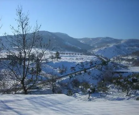 艾弗瑞迪基旅馆