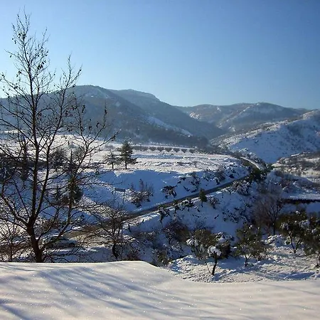 Evridiki