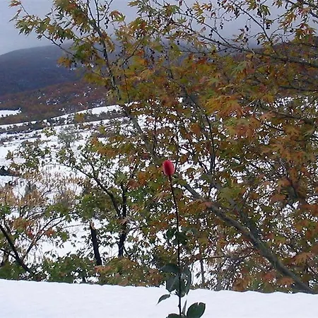 Evridiki بيت ضيافة