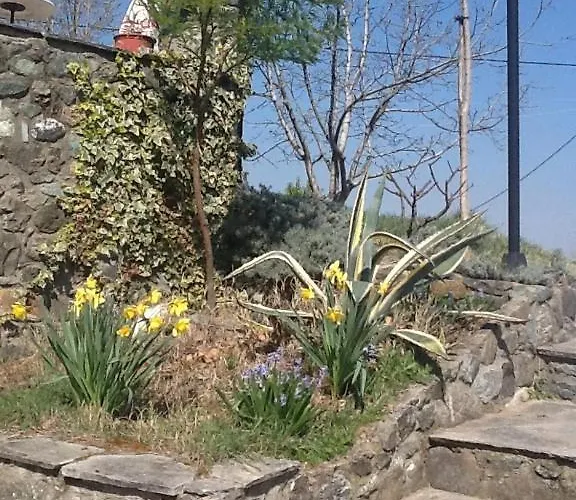 Pensión Evridiki Vergina